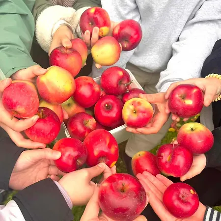 Breitenbenden Hotel Mechernich