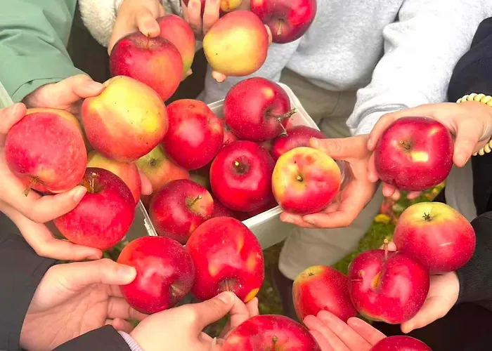 Breitenbenden Hotel Mechernich